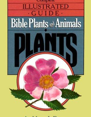 Bible Plants And Animals Vol 3