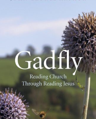 Gadfly: Reading Church Through Reading Jesus