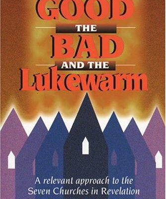 The Good the Bad and the Lukewarm