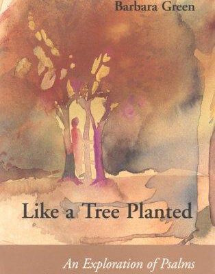 Like a Tree Planted