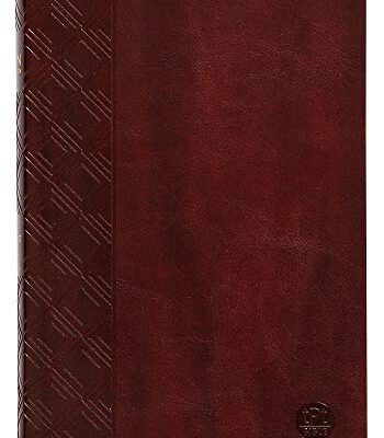 The Passion Translation New Testament, Brown – In-Depth Bible with Psalms, Proverbs, and Song of Songs, Makes a Great Gift for Confirmation, Holidays, and More