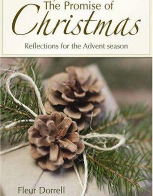 The Promise of Christmas
